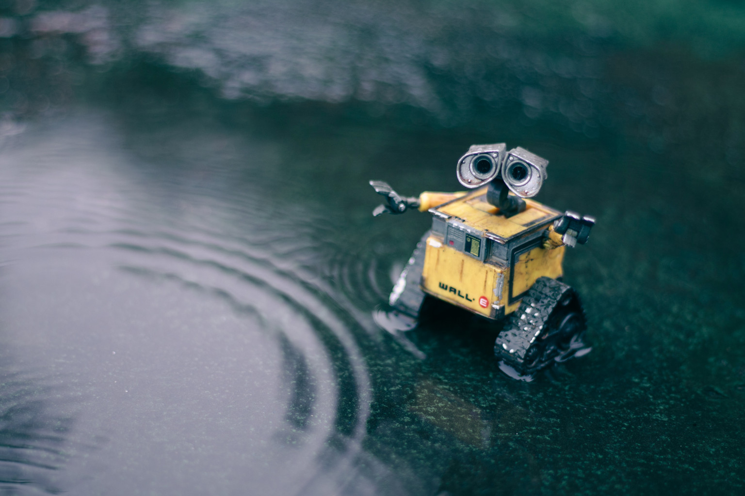 erik-mclean-f1CFb Ek-is-unsplash