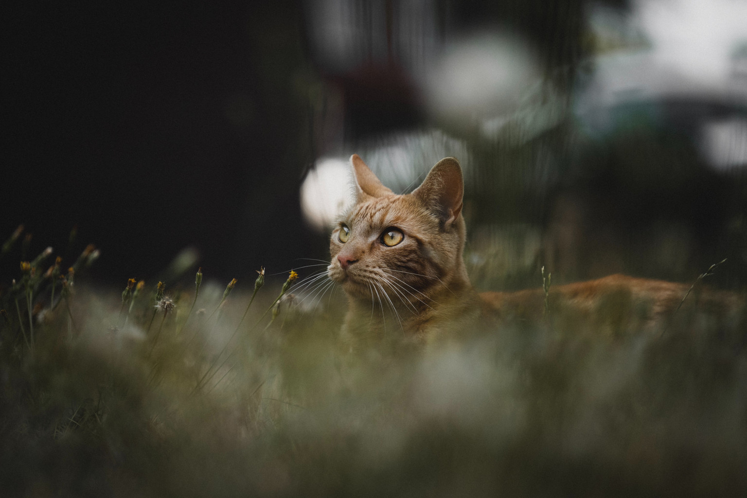 gijs-coolen-iO5tA4kLbhk-unsplash